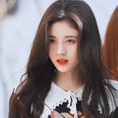 布里斯比熊