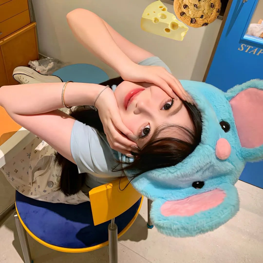 帝王蝶之子